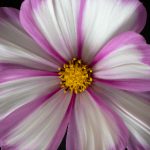 人欲小说 小说 r5vsqpxl