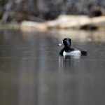 stme:探索STME在现代科技中的应用与发展前景 mrtaw89x3