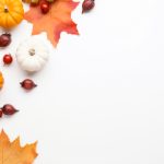 探索逆次元Meobox:开启虚拟与现实的奇妙之旅 abucg1